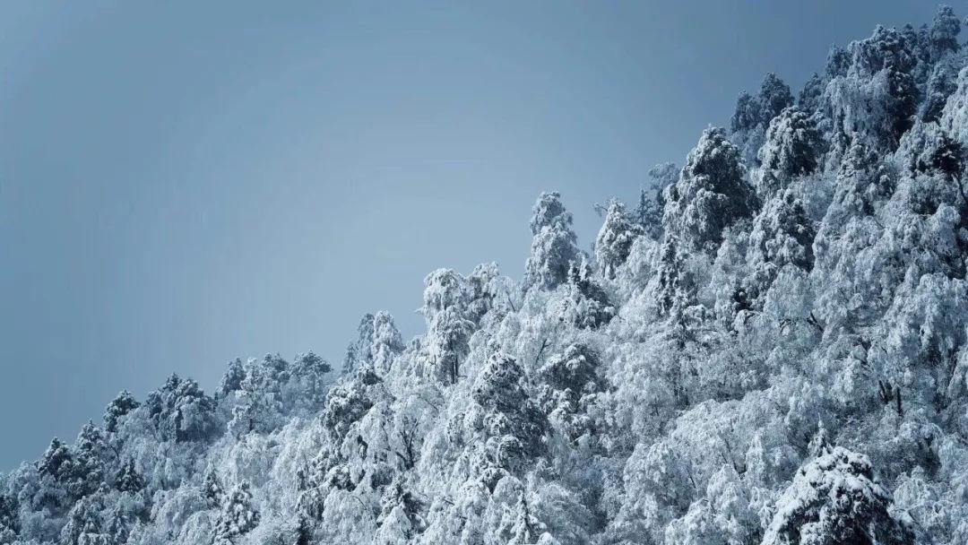 为什么要看增广贤文-你的全方位知识问答平台